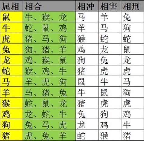 生肖相生|十二生肖的相生相克大全表 生肖相冲怎么化解